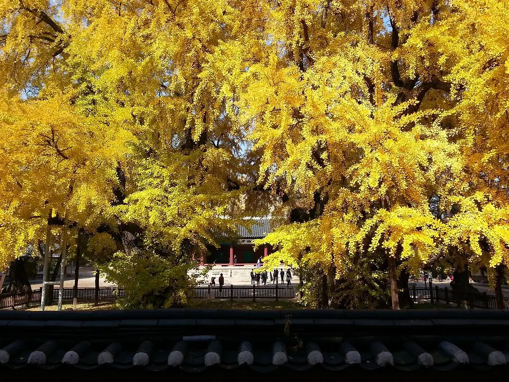 Penzion Punggyeong Hanok Guesthouse Soul