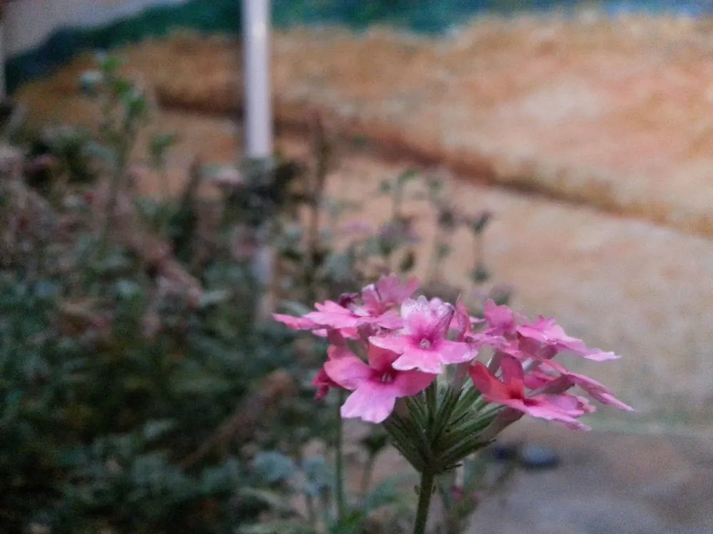 Punggyeong Hanok Guesthouse Soul Penzion